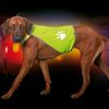 Chaleco de seguridad Safety-Dog - - Talla S