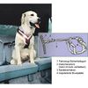 Correa de seguridad Allsafe - - Tama�o S: para perros peque�os