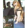 Correa de seguridad para perros - - Tama�o S: 30 - 60 cm per�metro del pecho