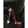 Cintur�n de seguridad para gatos - - 15 mm ancho