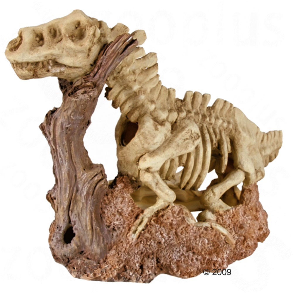 Decoración para acuarios Esqueleto de dinosaurio - - 18 x 27 cm aprox.