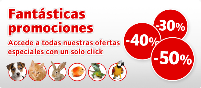 Aquí encontrará las ofertas especiales y promociones en la categoría de alimentos y accesorios para gatos. Las ofertas especiales son válidas hasta agotar existencias y en cantidades domésticas.
Todos los precios incluyen el IVA. Envíos gratis desde sólo 35 euros.