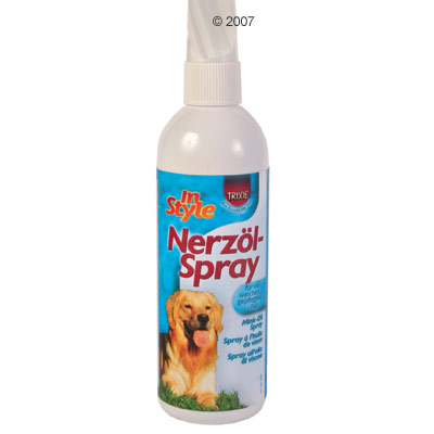 cuidados basicos para tu perro