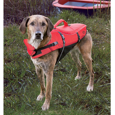 Chaleco salvavidas para perros - - Talla XL: longitud dorsal 65 cm