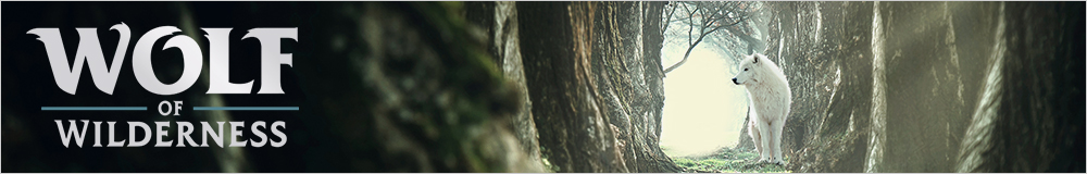 wolf_of_wilderness