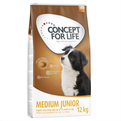 concept for life medium junior futter hund