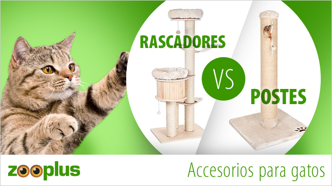 Rascador para gatos