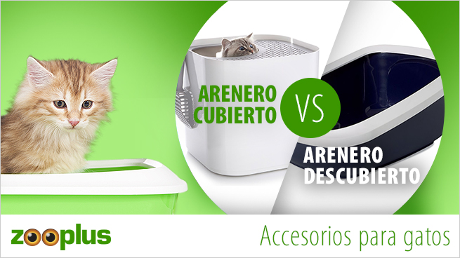 Arenero para gatos: ¿cubierto o descubierto?, Adoptar un gato