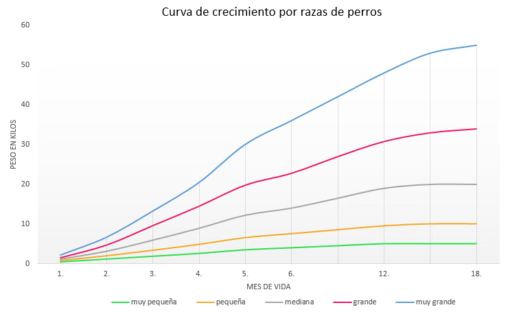 La alimentación de los cachorros La alimentación de los cachorros