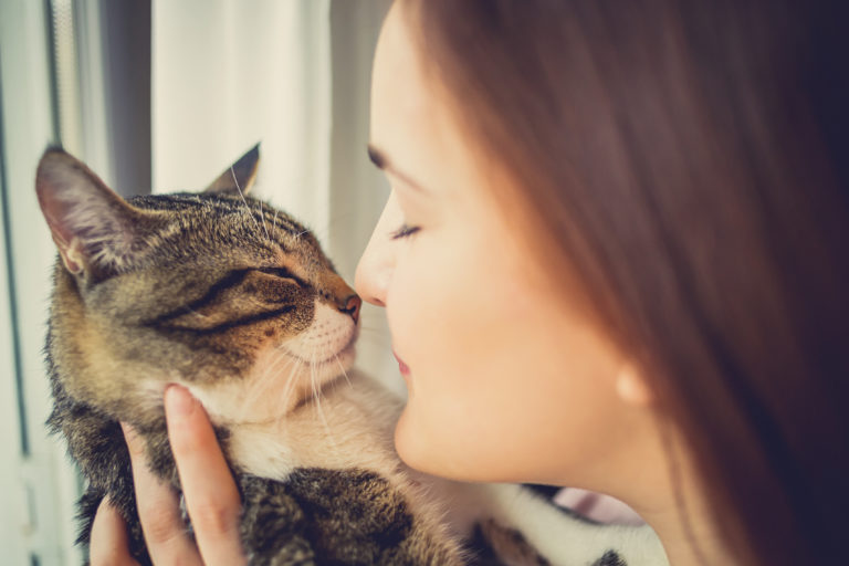 Los gatos son buenos para la salud