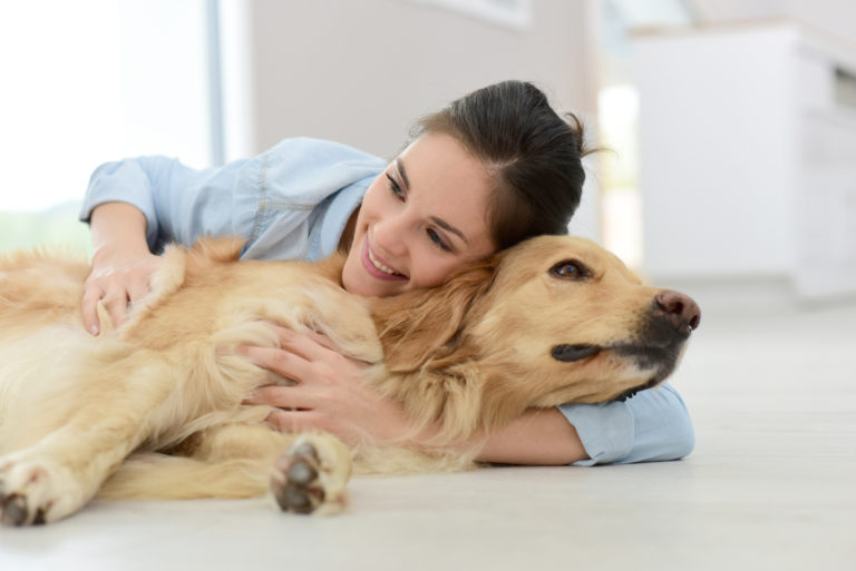 Problemas digestivos en perros