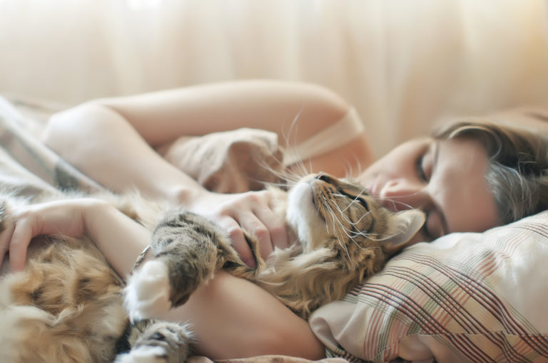 Dormir con el gato en la cama