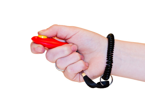 Mano sujetando un clicker