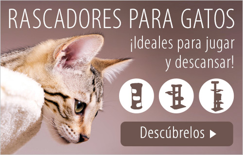 Los mejores rascadores para gato en zooplus!