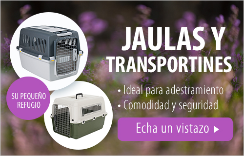 Transportines y accesorios de viaje en zooplus!