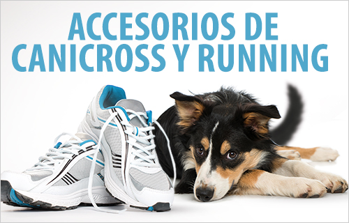 Todo para jugar y hacer deporte con tu perro