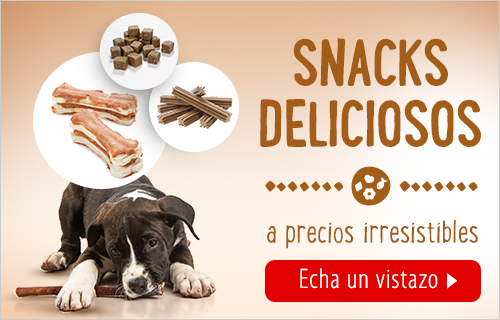 Deliciosos snacks para perros en zooplus!