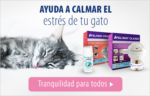 Productos antiestrés para gatos en zooplus!