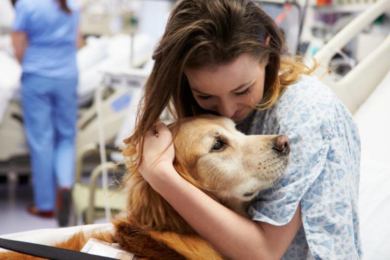 Cabra Memorándum Sin sentido Perros de terapia | Magazine para perros de zooplus