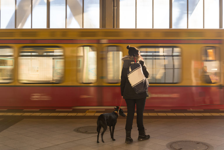 Viajar en tren con perro