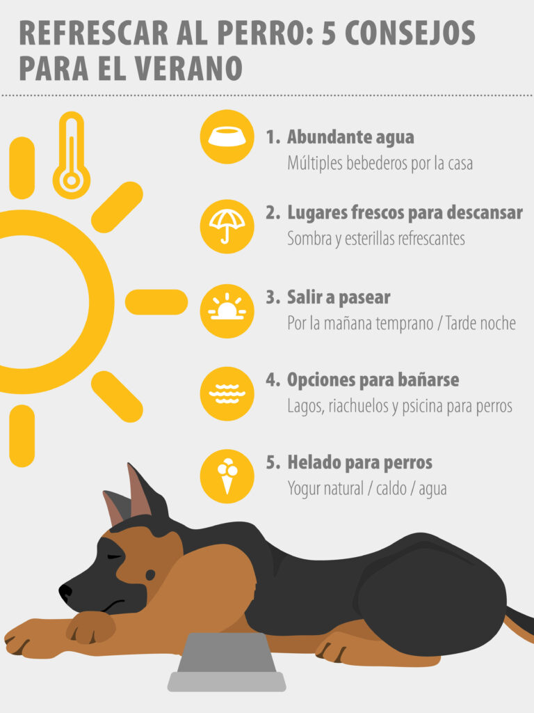 golpe de calor en perros