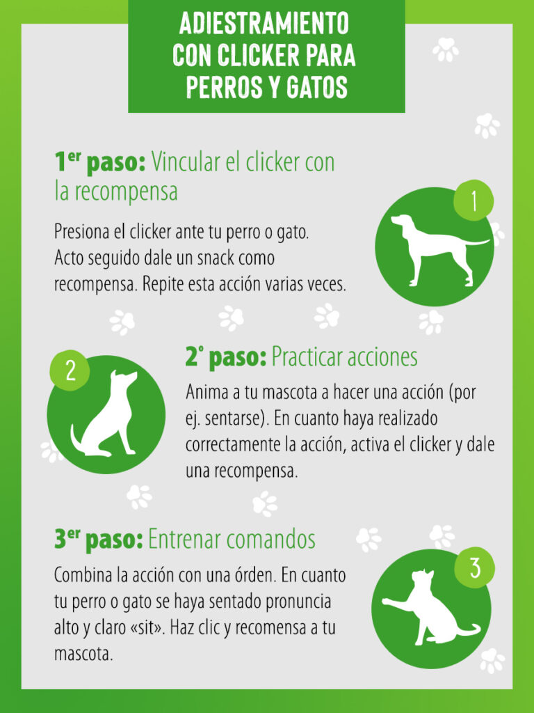 Adiestramiento para gatos con clicker