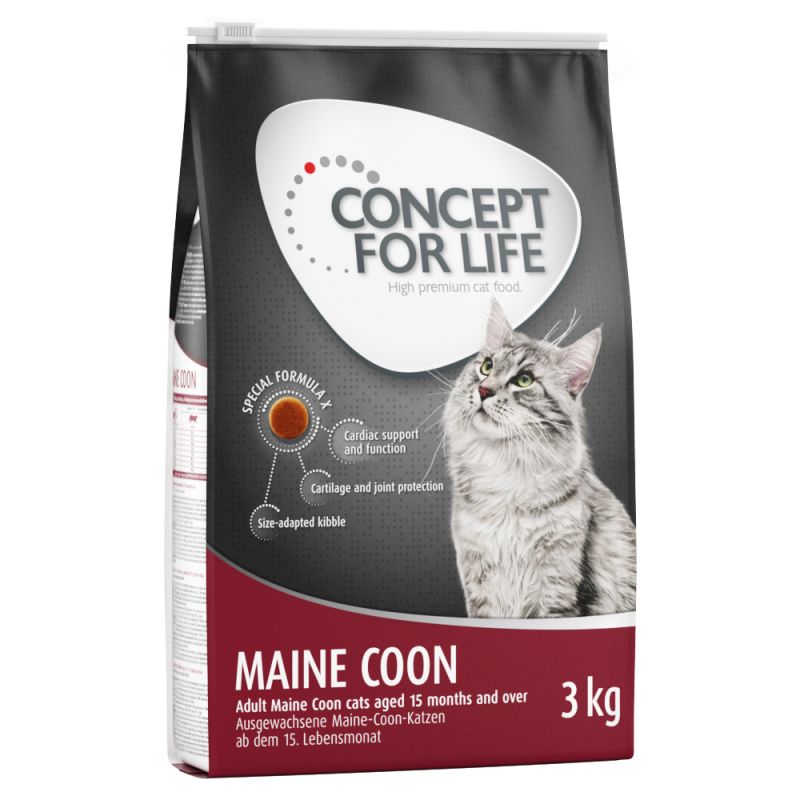 Alimentación para maine coon