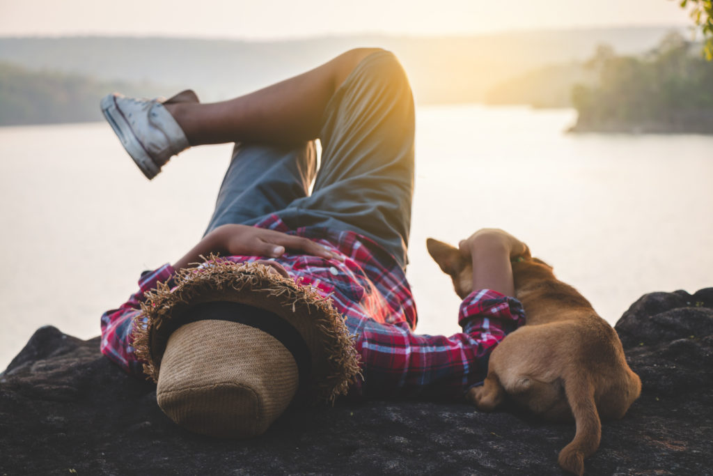 Vacaciones con el perro o sin él