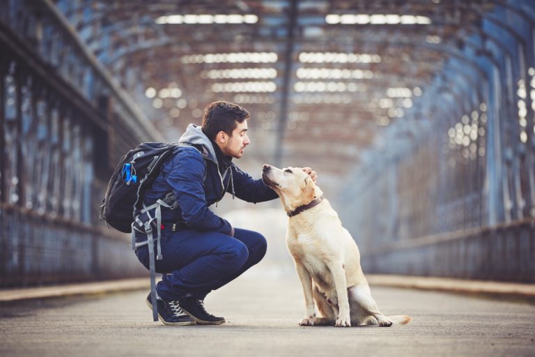 Vacaciones con el perro o sin él