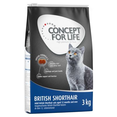 Alimentación para gatos british shorthair