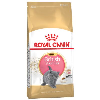 Alimentación para gatos british shorthair