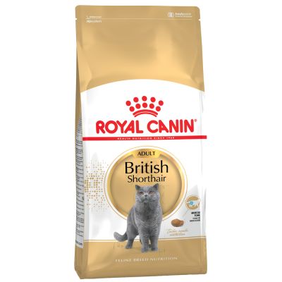 Alimentación para gatos british shorthair