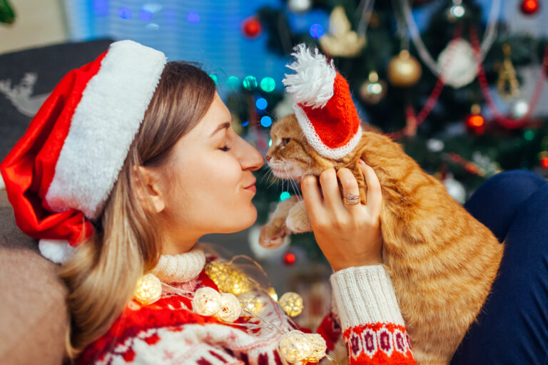 regalos de Navidad para gatosn playing and kissing pet in Santa’s hat by New year tree at home. regalos de Navidad para gatos
