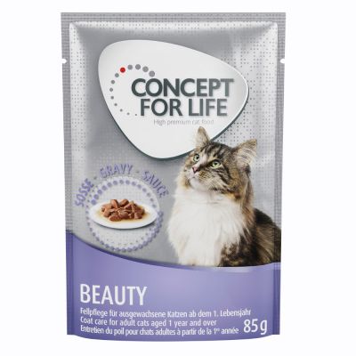 Alimentación para gatos british shorthair
