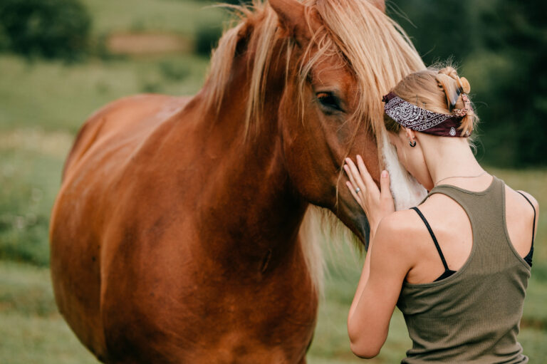 el lenguaje de los caballos