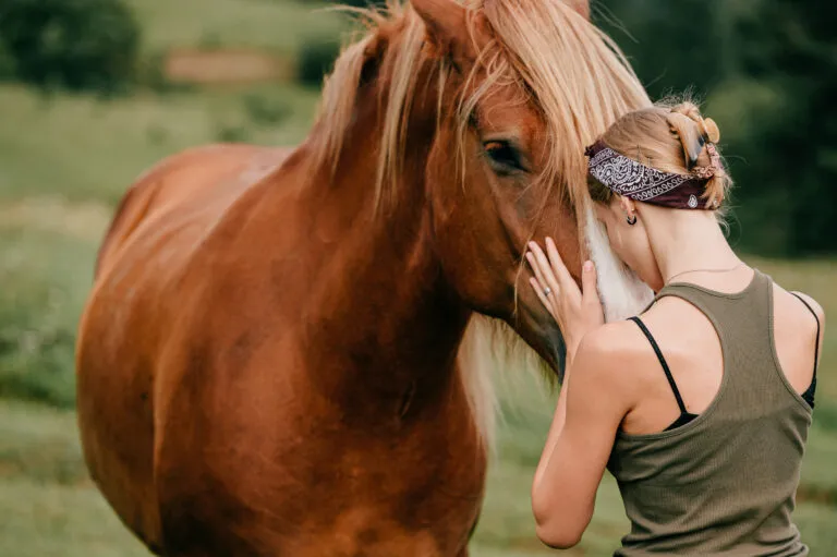 el lenguaje de los caballos