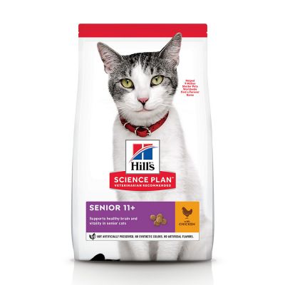 Alimentación para gatos british shorthair