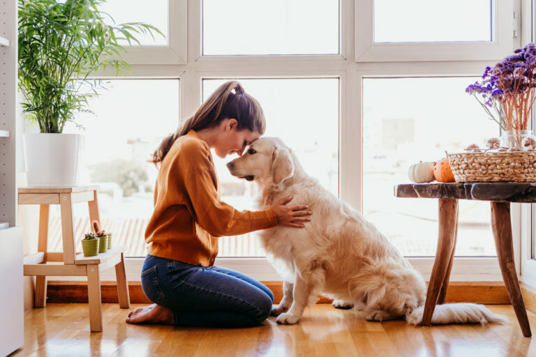 Pasear al perro durante la cuarentena