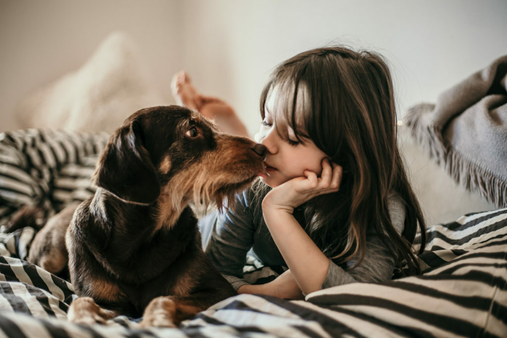 dormir con el perro dormir con el perro