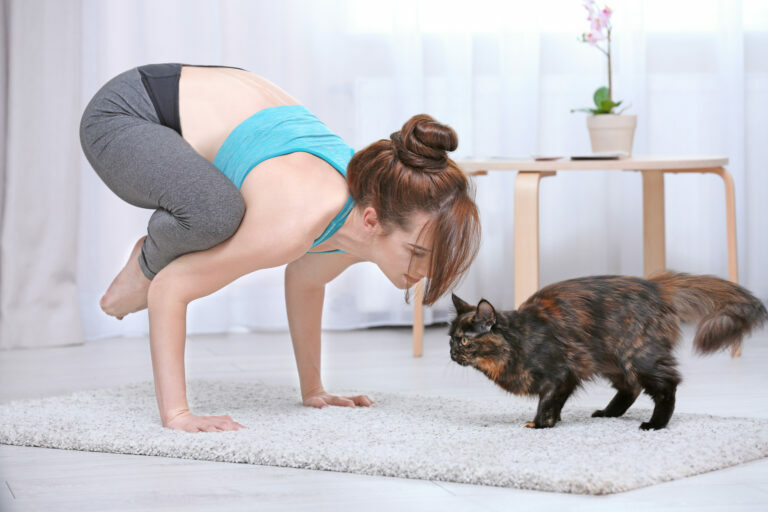 yoga con gatos