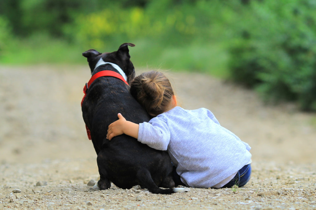 perros y niños