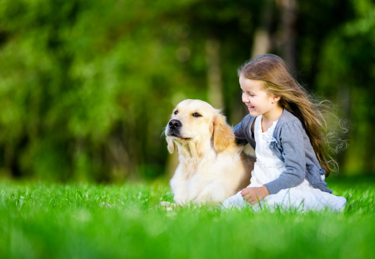 perros y niños