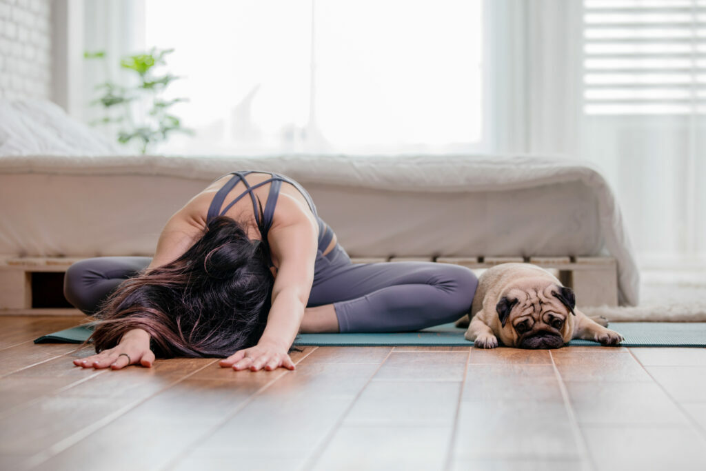 yoga para perros