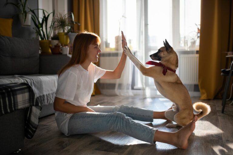 Cómo acostumbrar a tu perro a la rutina después del confinamiento