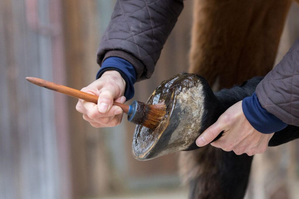 El cuidado de los cascos de los caballos