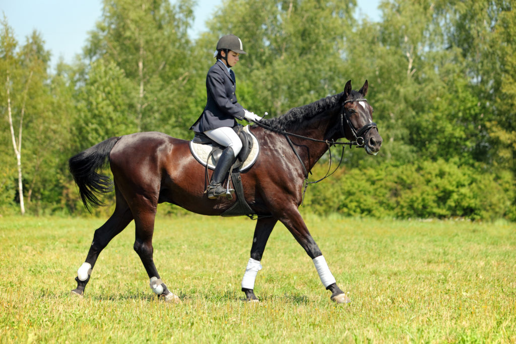 Montar a caballo a la inglesa o al estilo occidental