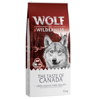 Wolf of wilderness