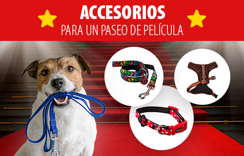 accesorios de pelicula 