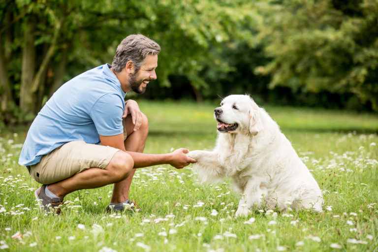 Adiestrador de perros