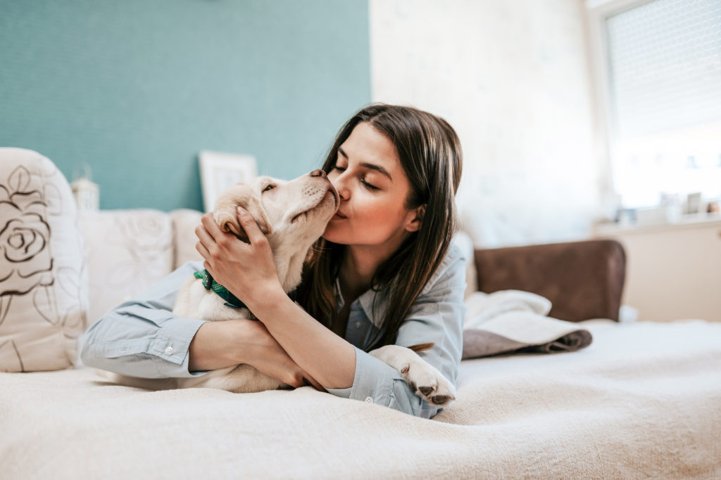 Cómo saber si tu perro te quiere
